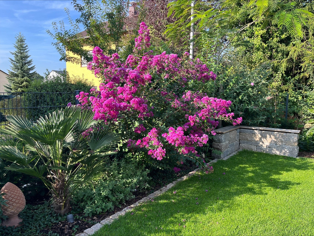 processed-F9F9082C-9B37-457C-A1AB-12ADD900A3DC