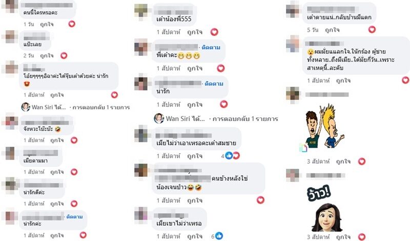 taojoopjantaburi265672