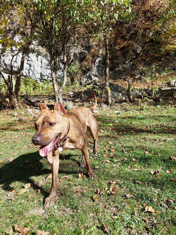 925915AC-1A6D-424C-8109-734C51C77057