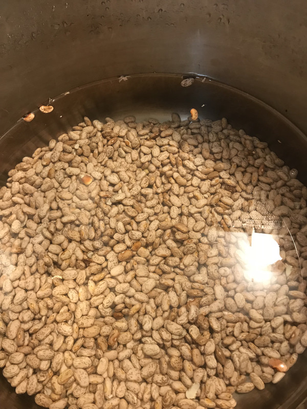 beans5