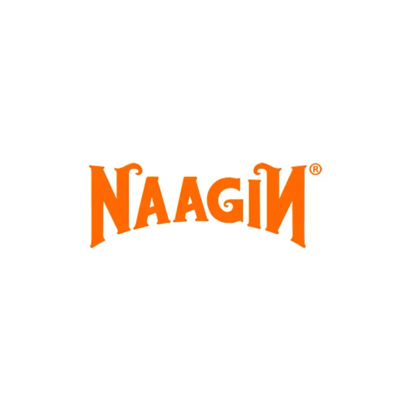 Company logo of Naagin
