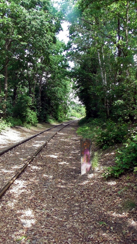 S1470173