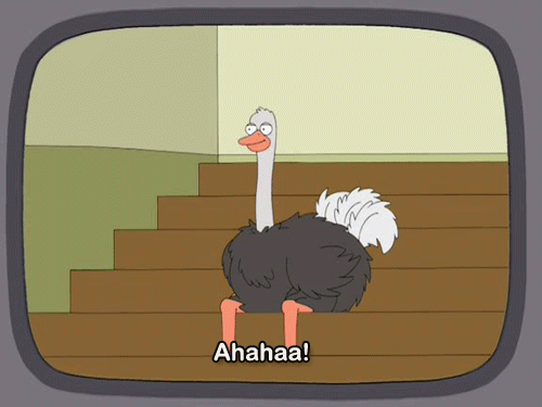 IMG-3127.gif