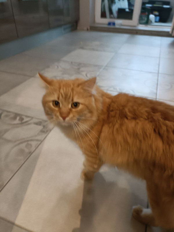 photo_2022-11-16_11-02-34 (3)