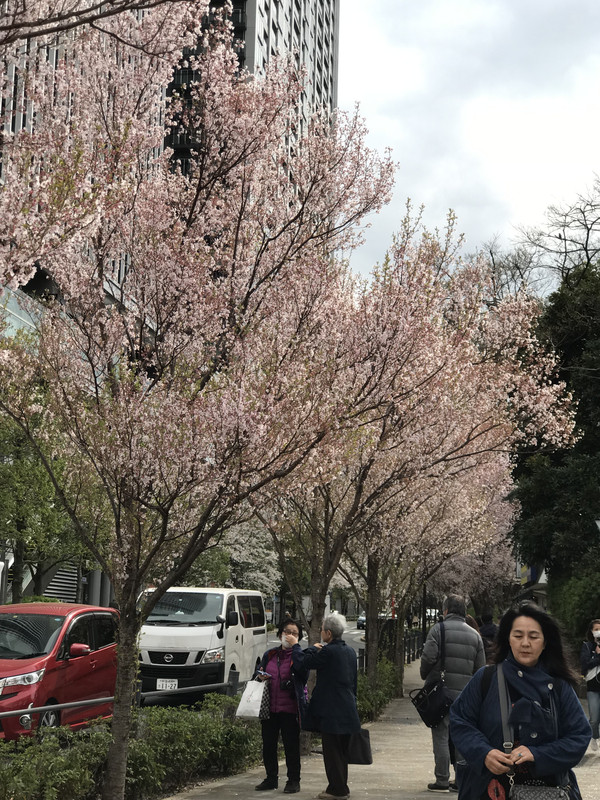 D2C156A6-A104-4BB9-AC86-92E51AA194C8