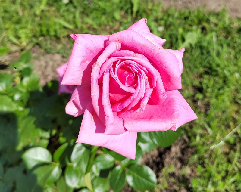 https://i.postimg.cc/vTq6KG2j/018-IMG-20240615-105937.jpg