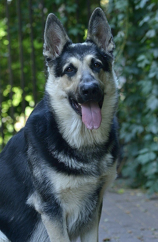 EW4EG6oj1DMp115gWcqdPGP8M4RjnEnpakDig_GHiBqzrM5Cr8kpAI60bJ7TfugGdYPwfTfy0MX0D6WwkBA1CIqz