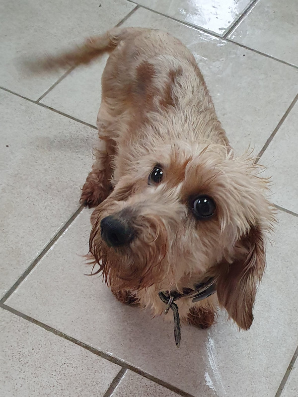 [Image: 20230201-174228.jpg]