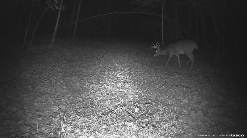 27D9F925-D468-4D03-9512-A32128046582