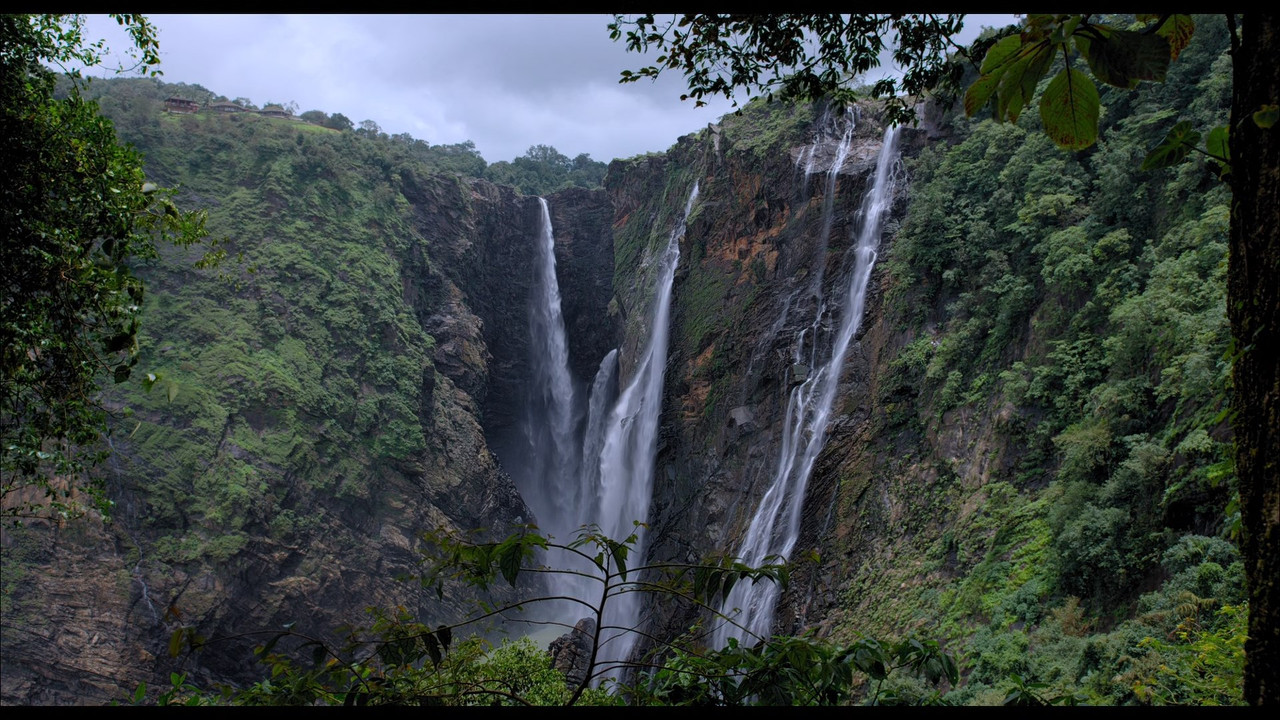 Monkey Kingdom (2015) (1080p BluRay x265 Silence)-6