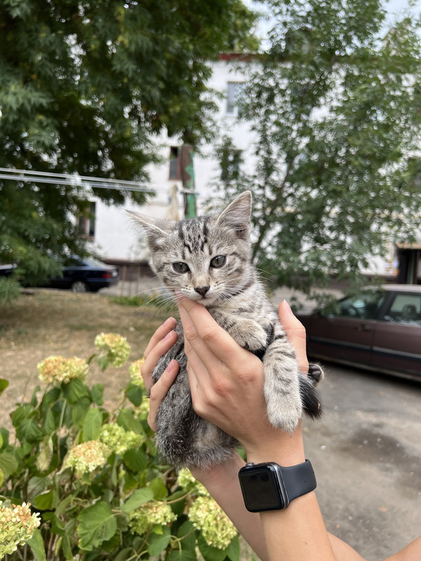 F4EECF81-17BF-4564-AAD9-33851DE1D8B9