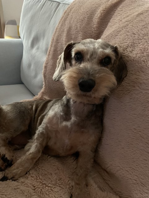 [Image: CA6-C8946-932-B-499-B-A1-F2-7-ABA2-C910332.jpg]