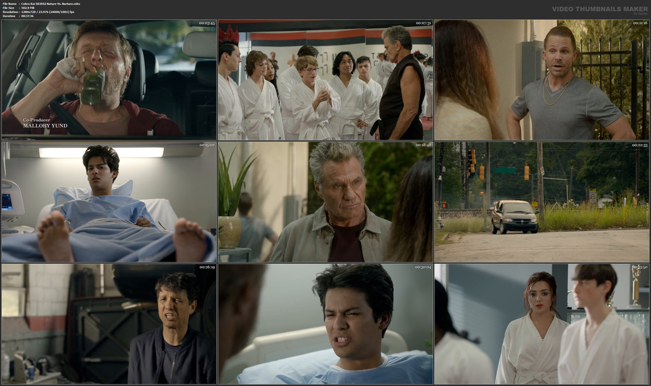 Cobra Kai S03E02 Nature Vs. Nurture.mkv