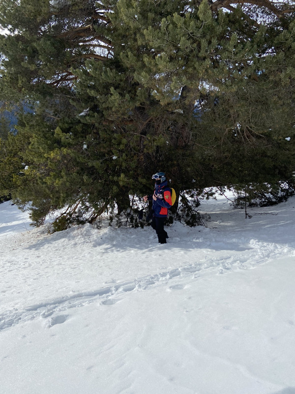 498A4BE3-0792-49B3-B7EB-ABD62809D2AF