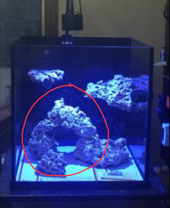 C0FB96D9-74E3-43B2-AA25-E5F4C0FFF7B6