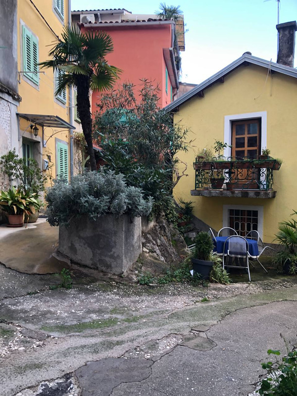 photo_2025-01-29_18-35-41 (2)