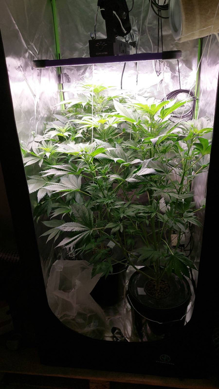 014C93E3-1104-439F-AD71-1E7F02125733