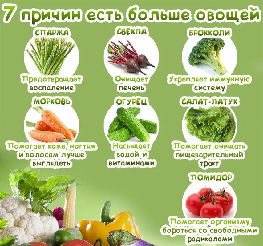 https://i.postimg.cc/vTrMMtmx/sh-HNpw-ZHSGQ.webp