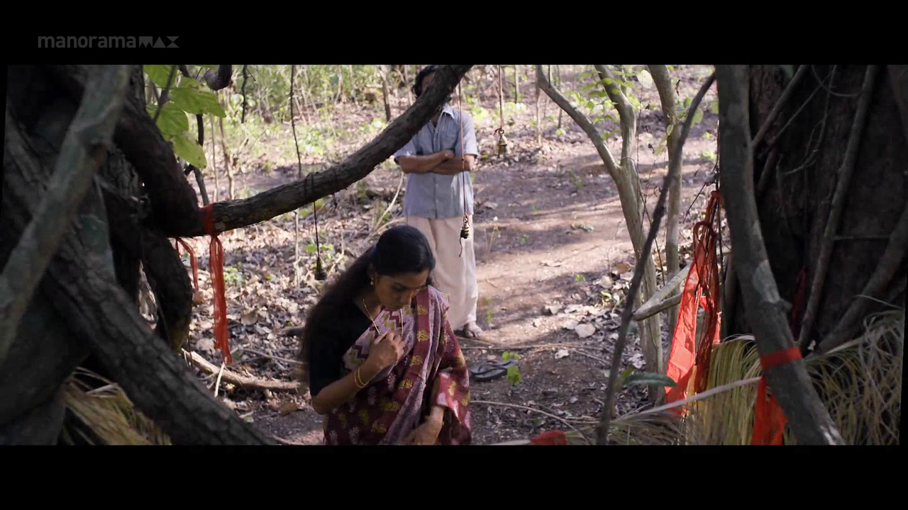 vlcsnap 2026 02 06 18h01m45s953