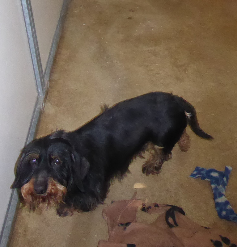 [Image: P1020928.jpg]