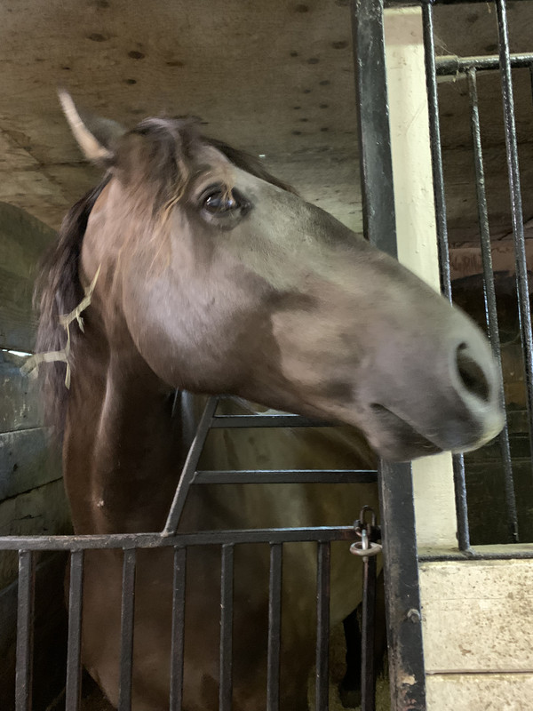 875F0B49-7D6D-4C53-B254-B86F7C6F40DD