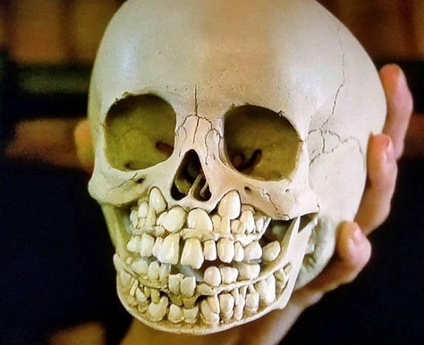 [Image: Skull.png]