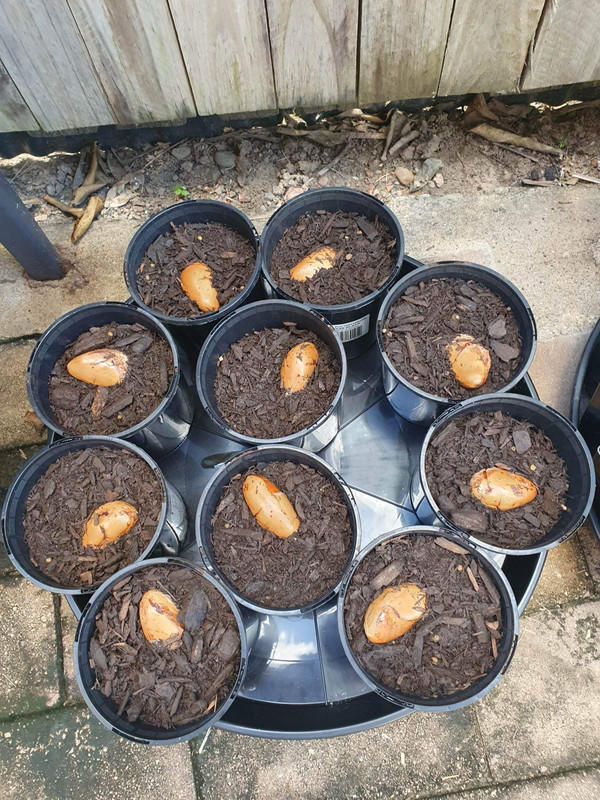 0E04E69A-E738-4792-A580-A35F512D0510