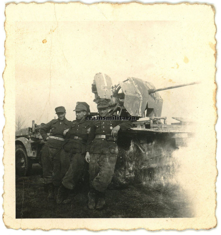 Orig. Foto Heeresflak Soldaten mit 2 cm Flak Geschütz auf SdKfz Halbkette 1944