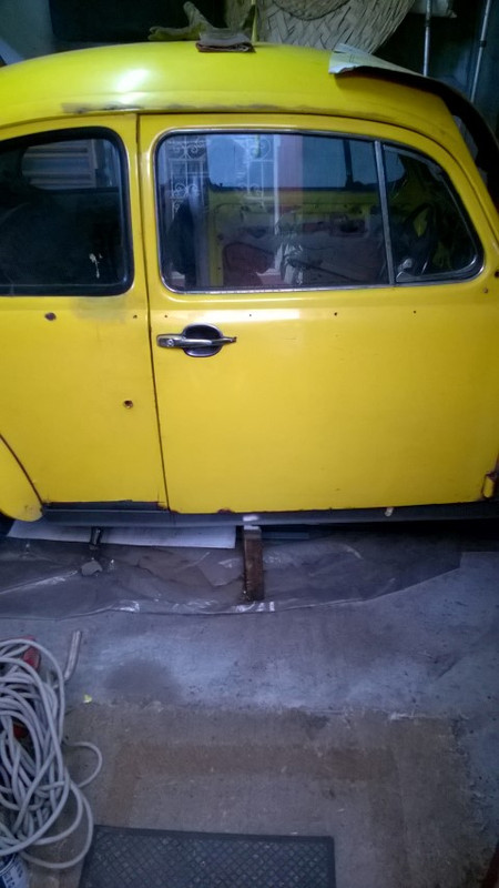 WP_20181104_12_57_18_Pro (Small)