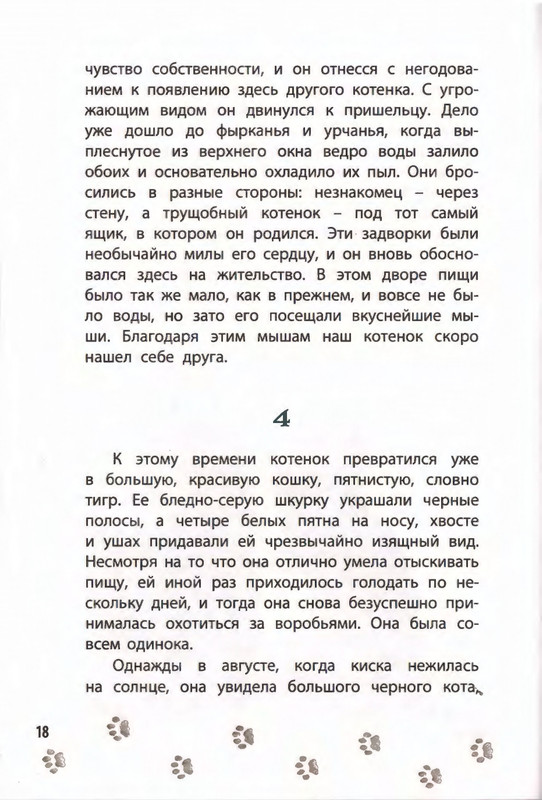 2019-page-0022