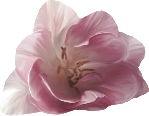 TADD_elements_LastDanceInParis (39)