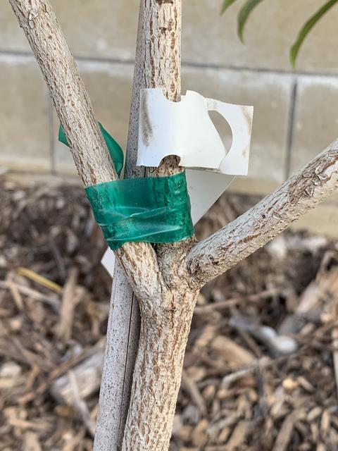 C8910B95-CD42-47A7-9D45-EE29B77E9A1C