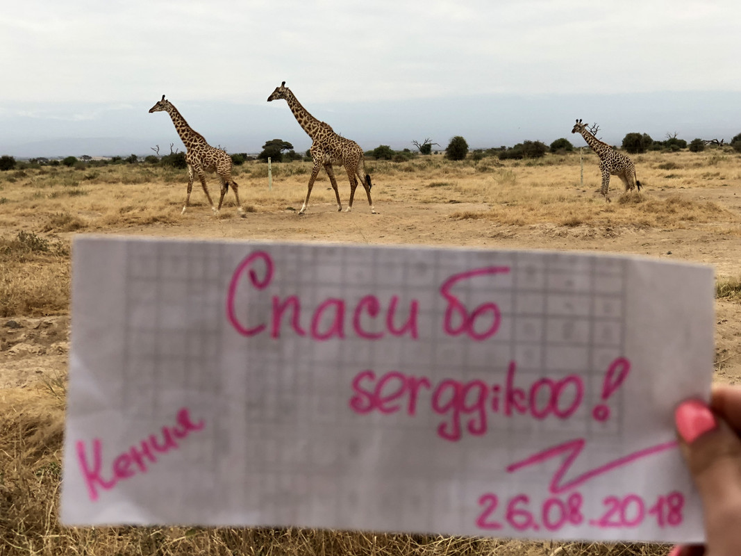 6F8BACC1-8417-4717-8C54-517FA8006973