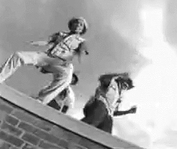 jungle-brothers.gif