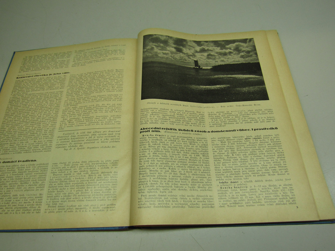 IMG 1893 — Postimages