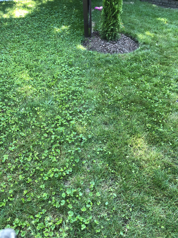 01E0A496-F8D7-47EE-B223-F3ADD9C2BA8F