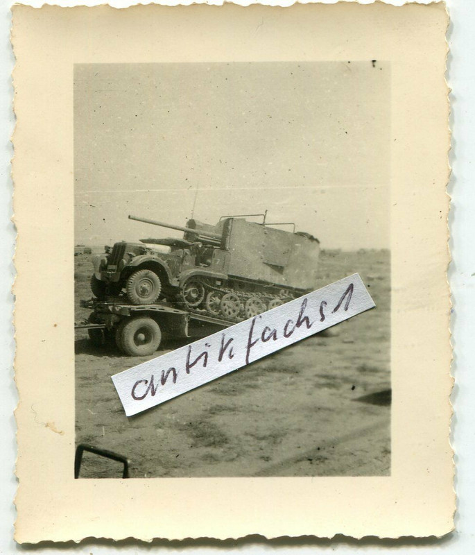 seltenes Panzer Sturmgeschütz DIANA auf Tieflade-Anhänger in Afrika , 2.WK