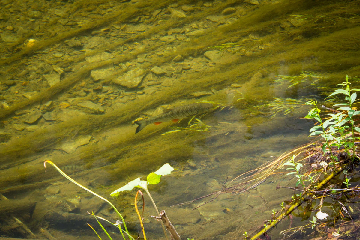 без имени-25