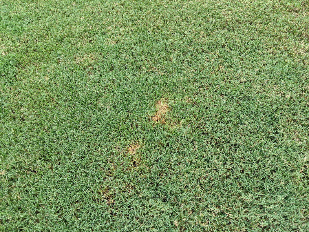 MVIMG_20200729_162401