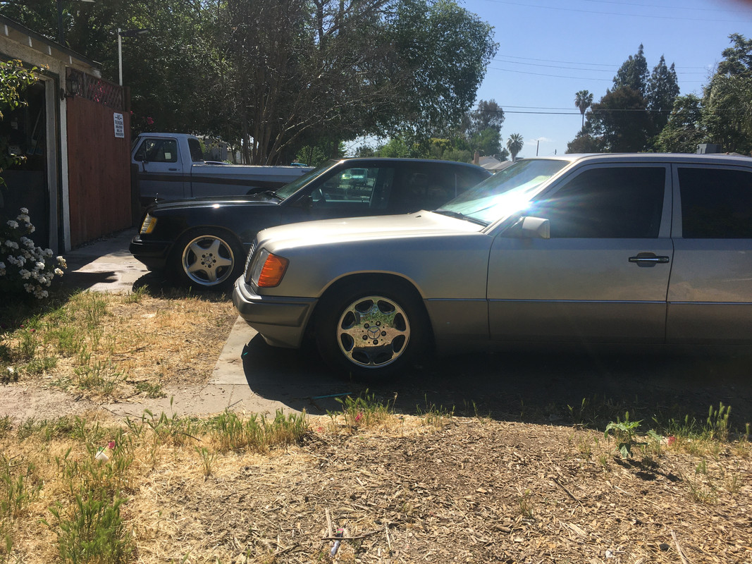 51DEA9F3-8E2C-4398-B135-E15FA5DC1538