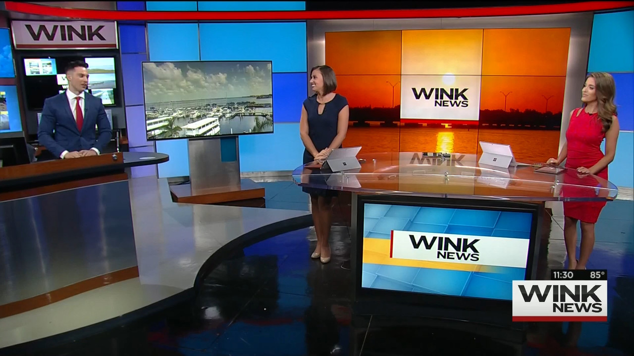 09.06 - 16.30.00 - WINK News @ 11 30AM..ts_snapshot_06.59.373
