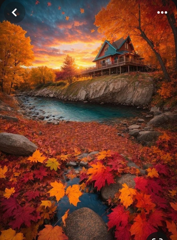 Screenshot_20240218_205950_Pinterest