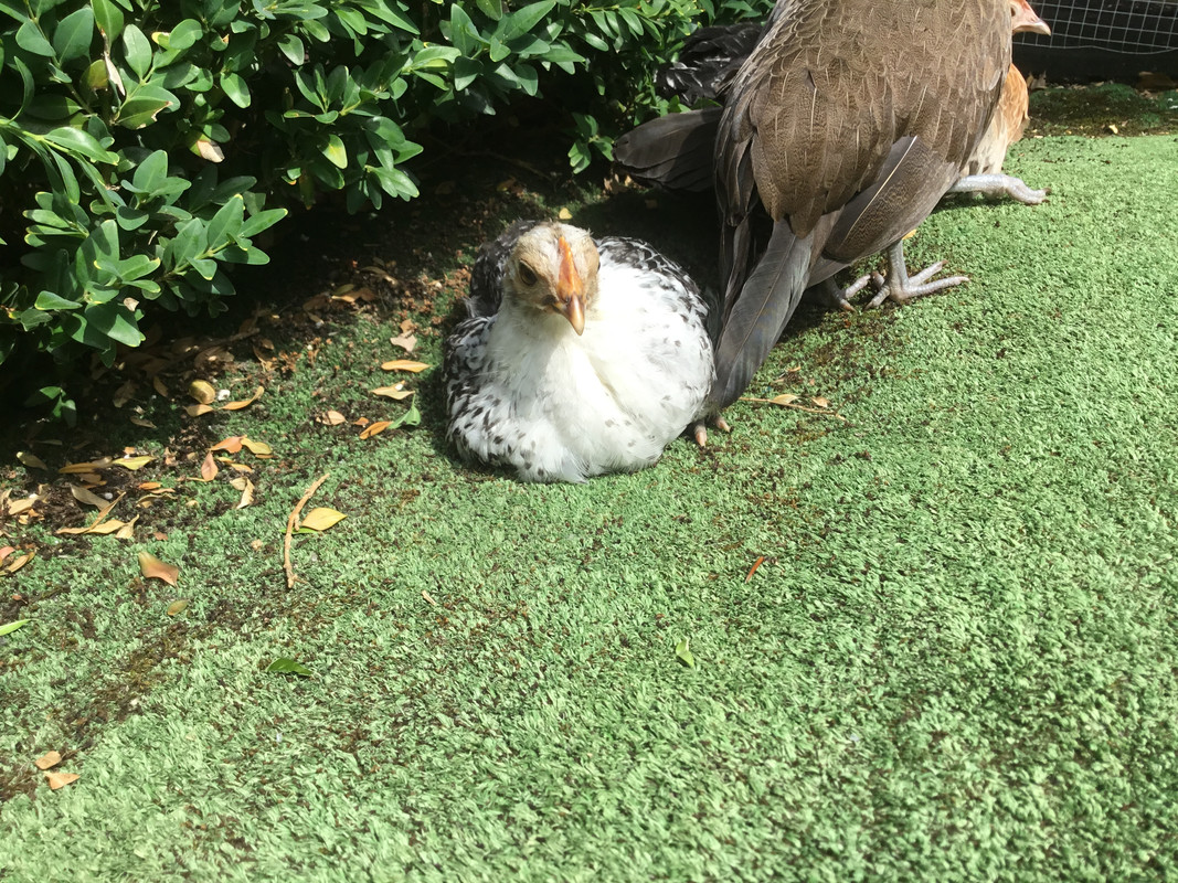 5FA4B535-561D-437A-AE52-BC53109D689D