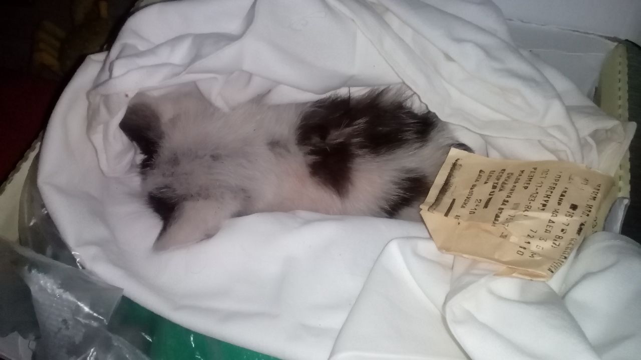 5061221B-15EE-4CA6-8A04-3E7F946E172F