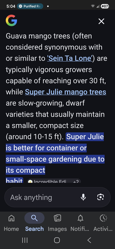 Screenshot 20260223 050421 Google