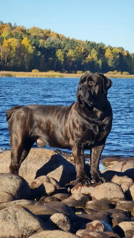 ZjPpzOryjklRWzmrDdCLDGCcqUYzP9cc607kpt5x_YzMC_5AXyMjl6EcLT9xXqUEEKvPnzvLNF0cYOQ3_9N7MjuT