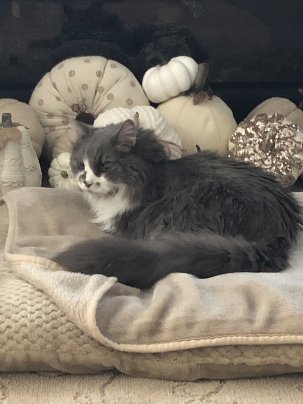 49C9CA3F-86BF-4B3A-86AE-4F433AA6B82C