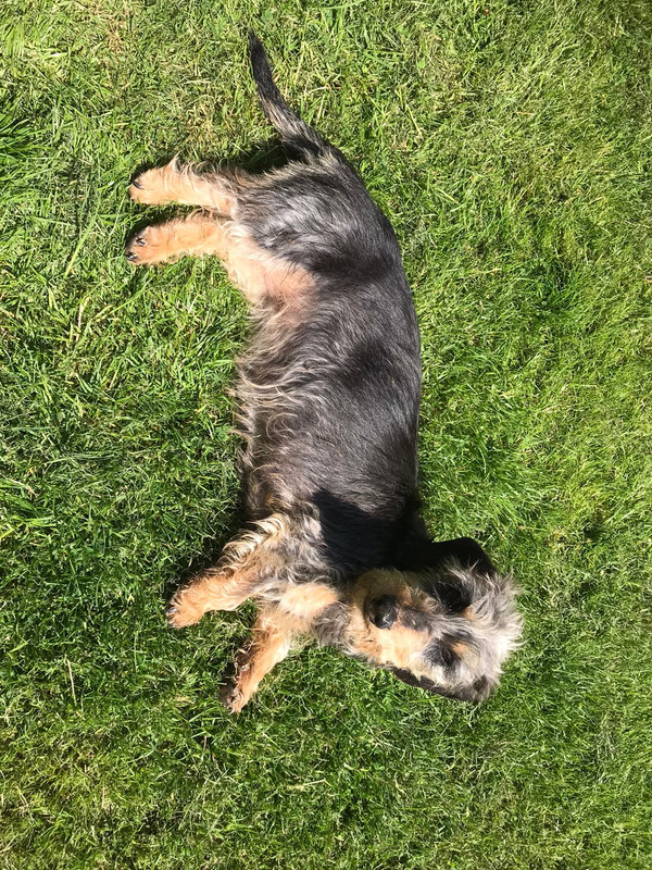 [Image: IMG-20240511-WA0000.jpg]