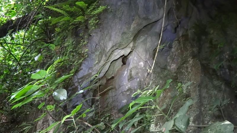 DE TORTUGAS Y PEREZOSOS. COSTA RICA 2019 - Blogs de Costa Rica - DIA 9: CAVERNAS DE VENADO (10)