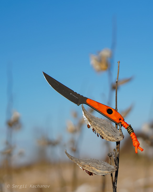 Krava Cut Полоз
